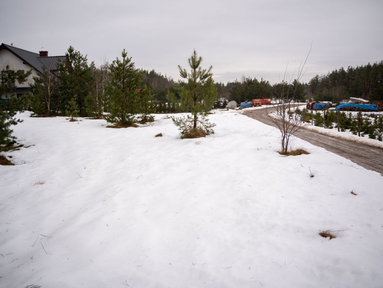 Działka inna Linia, ul. Długa. Zdjęcie 2