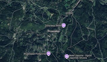 dom wolnostojący, 7 pokoi Przesieka