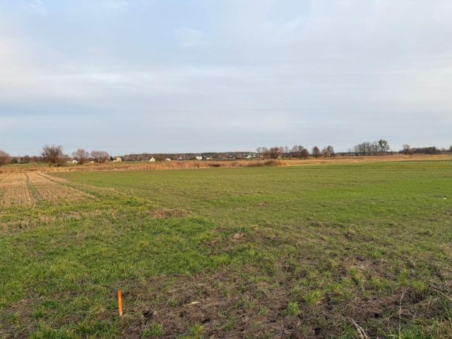 Działka rolna Oleśniczka. Zdjęcie 3