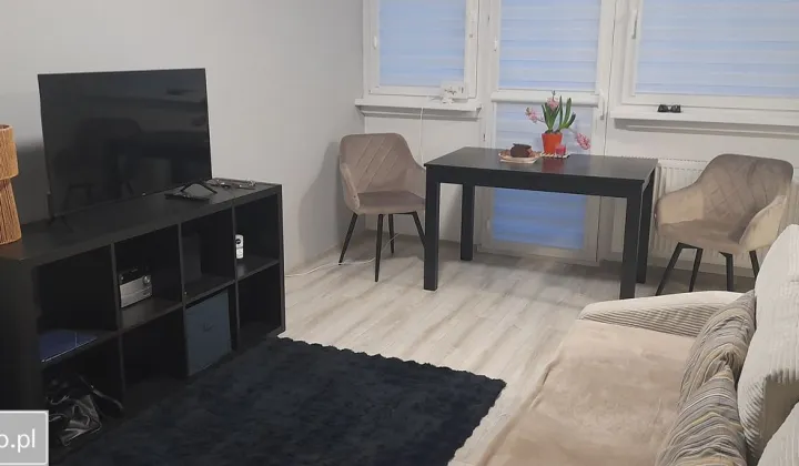 Mieszkanie 1-pokojowe Jelenia Góra Centrum, ul. Ptasia