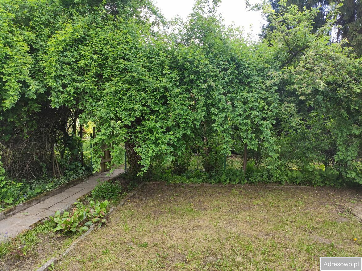Działka rod Kraków Płaszów, ul. Golikówka. Zdjęcie 8