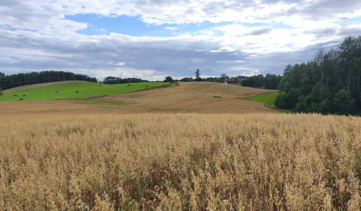 Działka rolna Rogówko