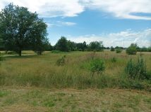 Działka rolna Danielów. Zdjęcie 1