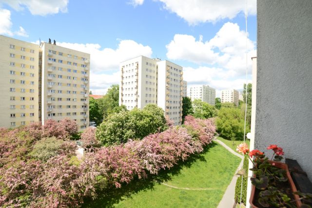 Mieszkanie 3-pokojowe Warszawa Mokotów, ul. Czerniakowska. Zdjęcie 14