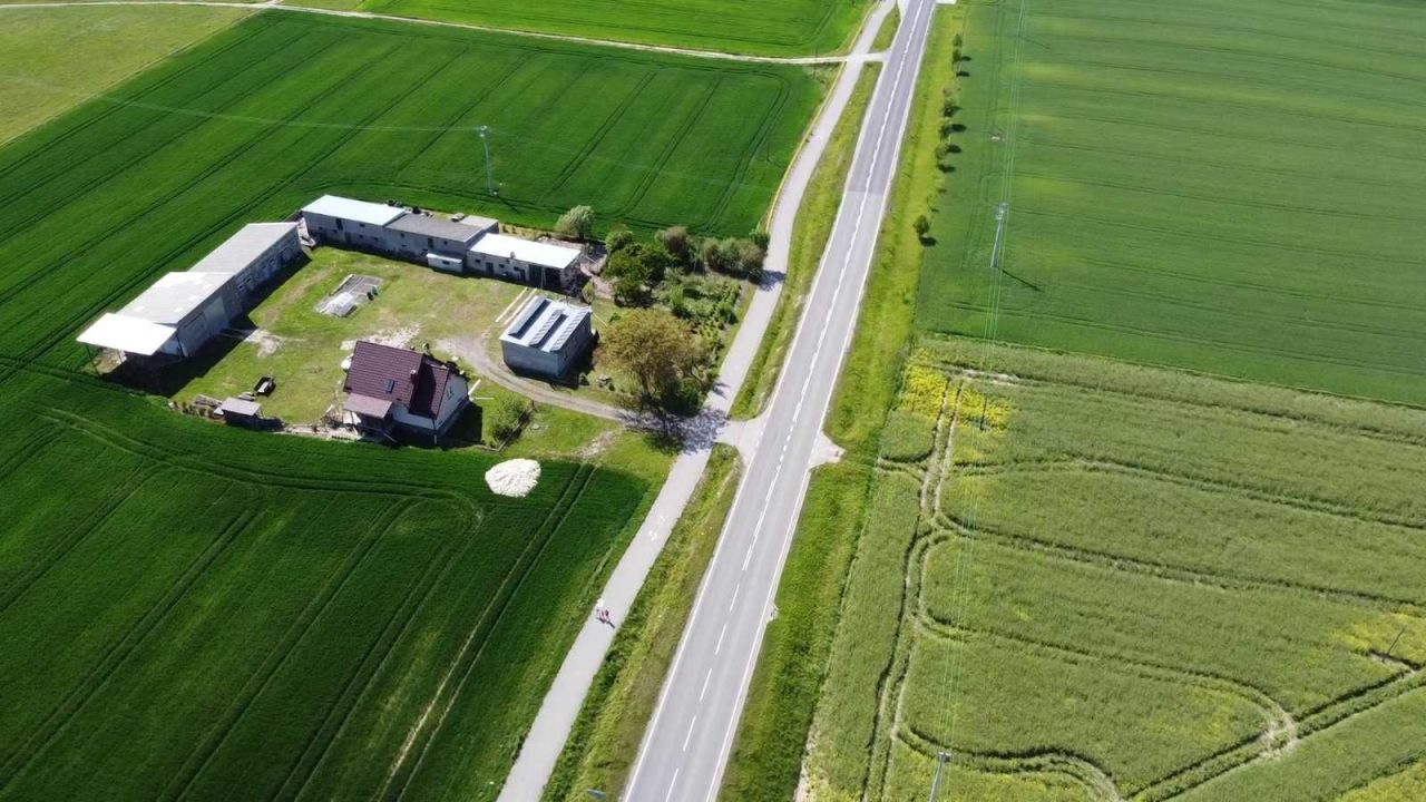 siedlisko Ogrodzieniec. Zdjęcie 4