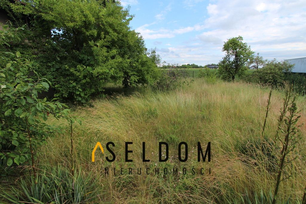 dom wolnostojący, 5 pokoi Wilczyn. Zdjęcie 5