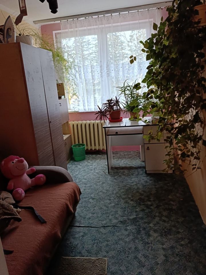 Mieszkanie 4-pokojowe Adamowo. Zdjęcie 7