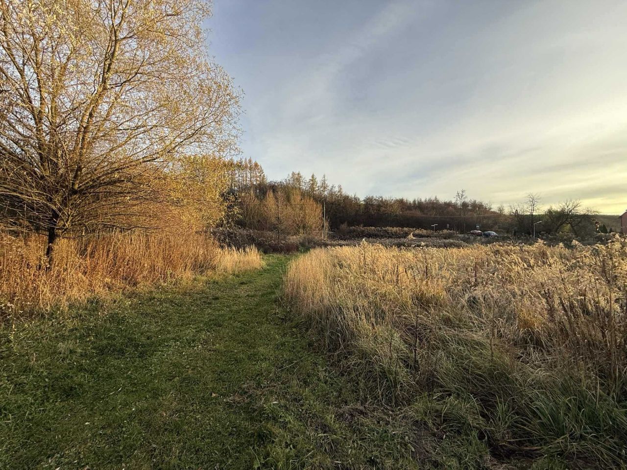 Działka rolno-budowlana Poskwitów Stary Poskwitów, ul. Na Błonia. Zdjęcie 6