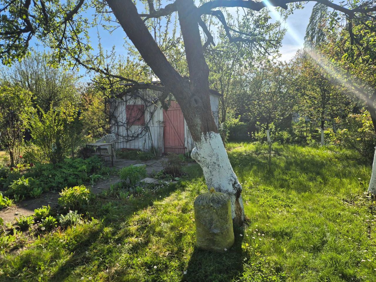 Działka rod Wrocław Krzyki, ul. Koszycka. Zdjęcie 6