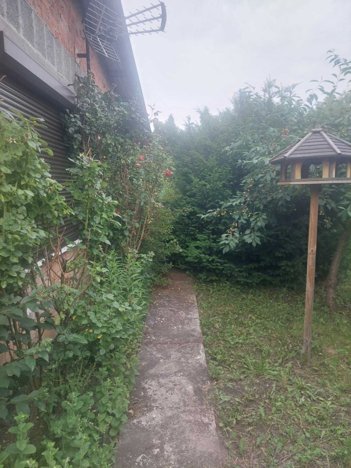 Działka rod Września, ul. Działkowców. Zdjęcie 5
