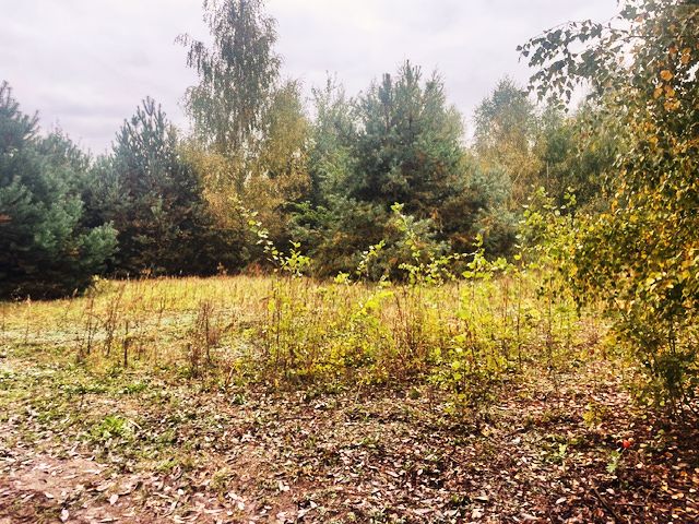 Działka budowlana Barcice Drwalewskie. Zdjęcie 2