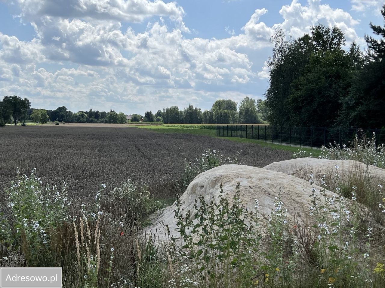 Działka rolno-budowlana Skrzynki. Zdjęcie 7