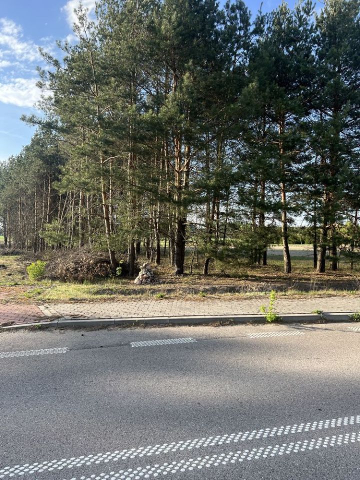 Działka siedliskowa Nagoszewka Druga. Zdjęcie 3