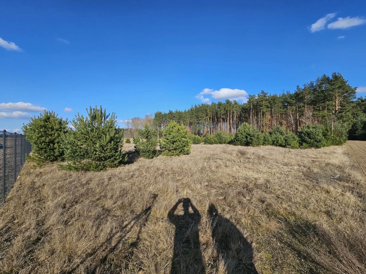 Działka budowlana Paruszka. Zdjęcie 3