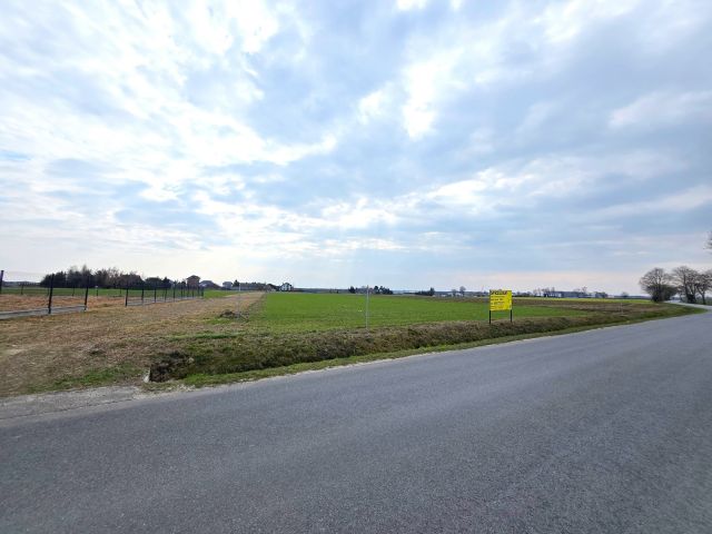 Działka budowlana Cekanowo Cekanowo-Kolonia. Zdjęcie 2