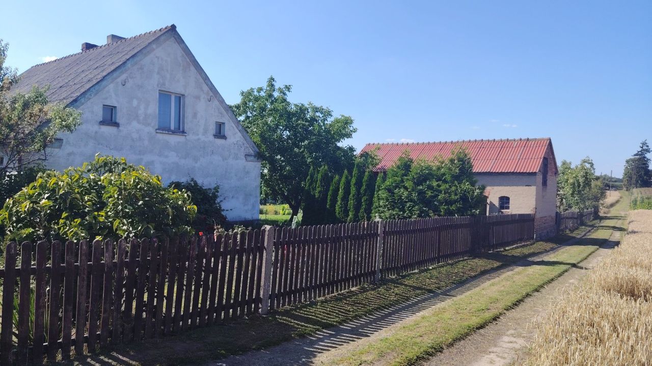 Działka rolno-budowlana Chraplewo. Zdjęcie 5
