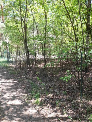 Działka rekreacyjna Krasne. Zdjęcie 1