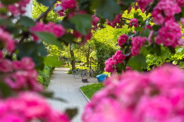 Mieszkanie 1-pokojowe Warszawa Żoliborz, ul. ks. Jerzego Popiełuszki. Zdjęcie 26