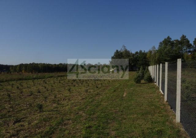 Działka siedliskowa Osuchów. Zdjęcie 18