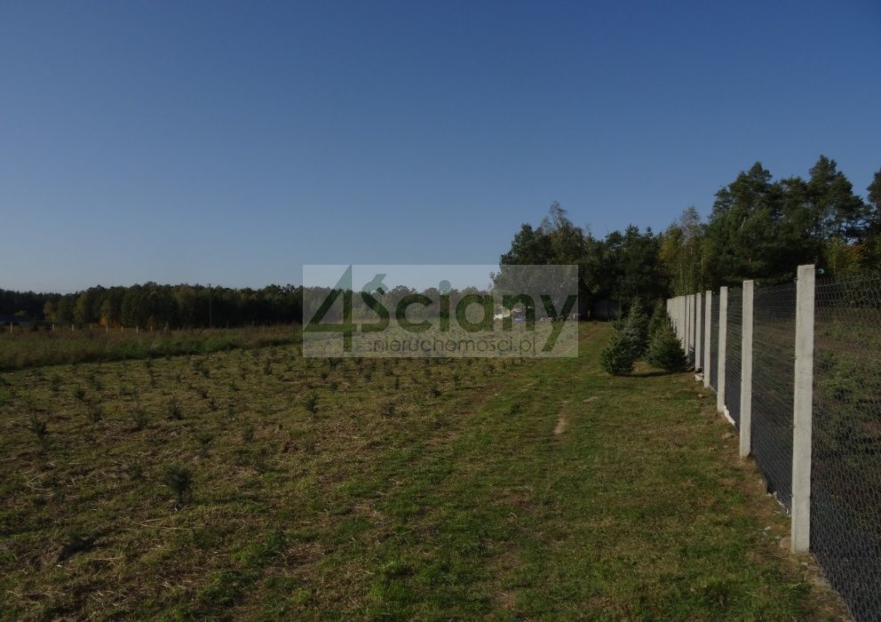 Działka siedliskowa Osuchów. Zdjęcie 18