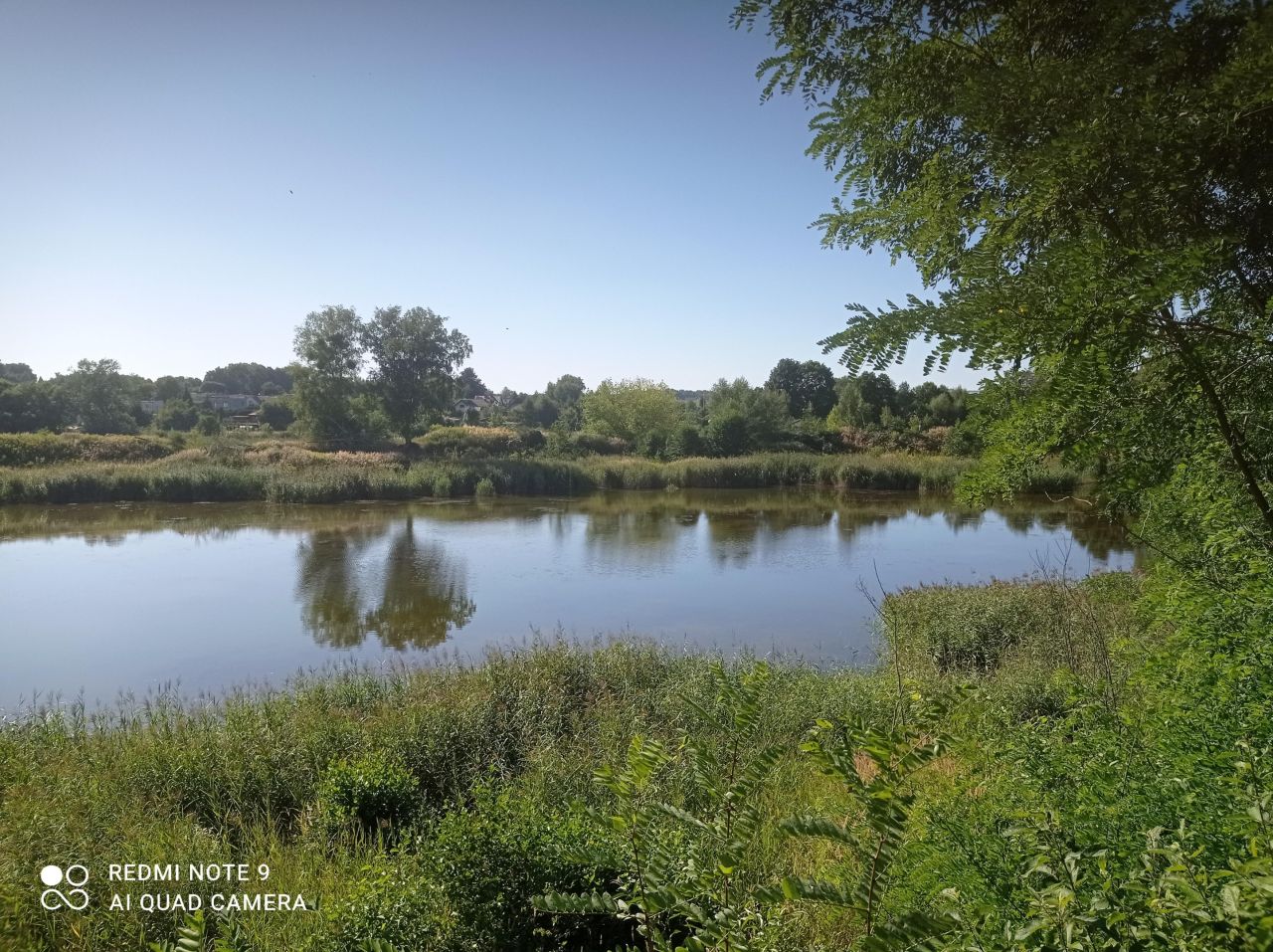 Działka rekreacyjna Ptakowice, ul. Wyzwolenia. Zdjęcie 15