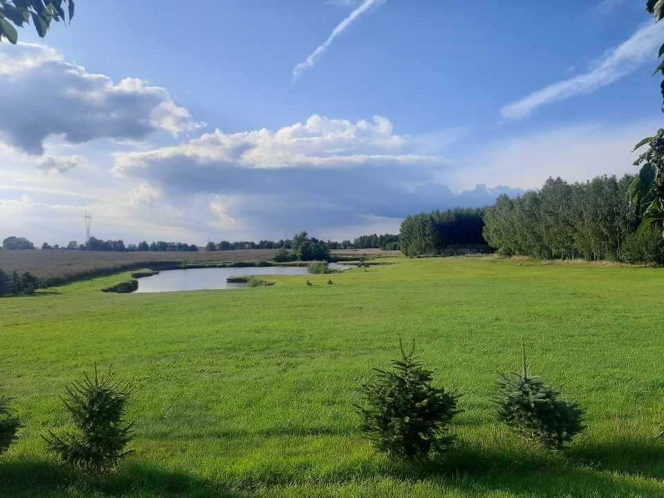 gospodarstwo Pręczki. Zdjęcie 2