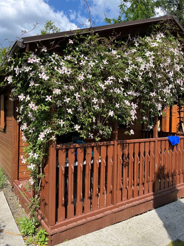 Działka rod Radzionków. Zdjęcie 3