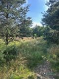 Działka inna Mysłowice Wesoła, ul. 11 Listopada. Zdjęcie 4