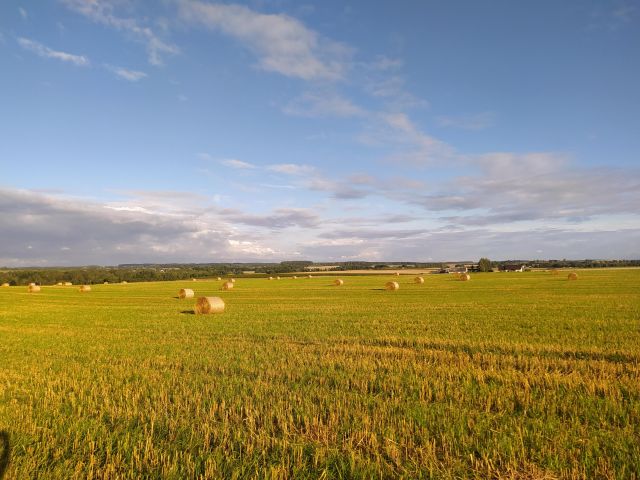 Działka rolno-budowlana Fijewo. Zdjęcie 1