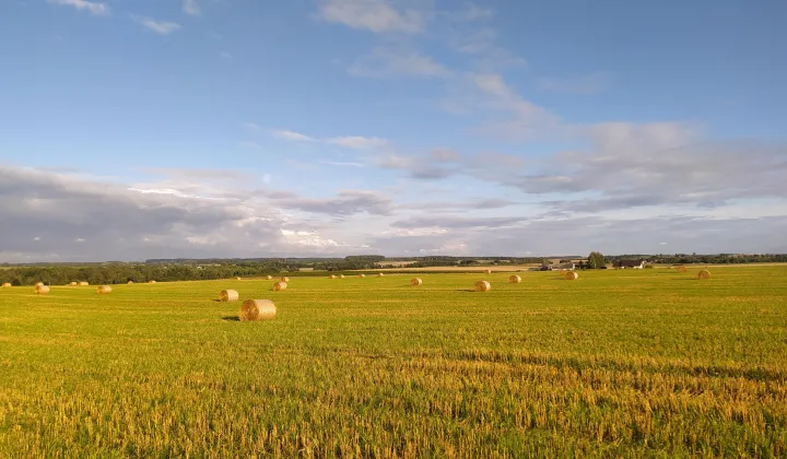 Działka rolno-budowlana Fijewo