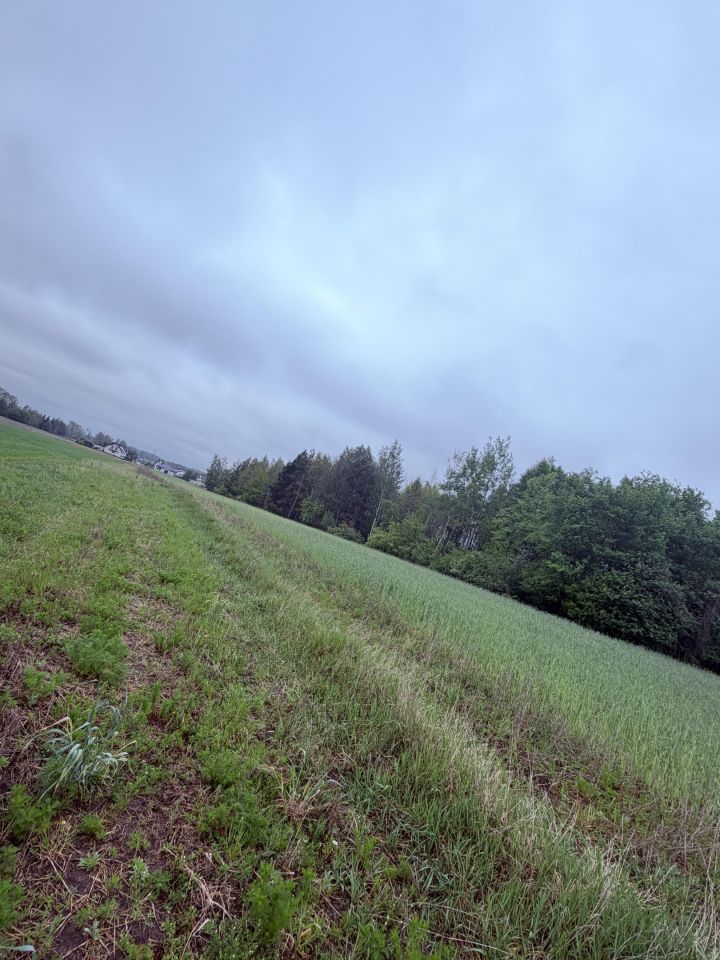Działka budowlana Węgrów Nowiny, Miodowa. Zdjęcie 6