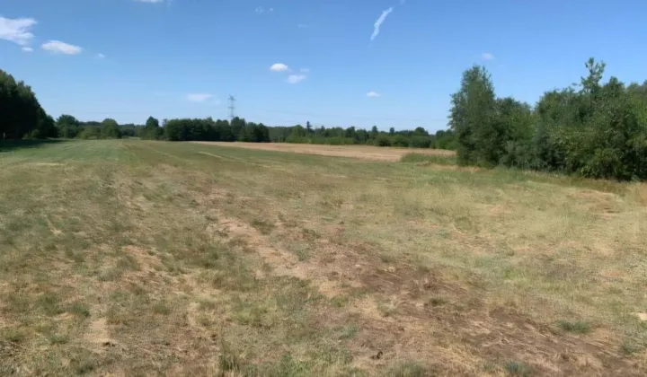 Działka rolno-budowlana Parma