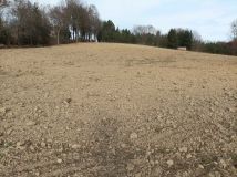 Działka inwestycyjna Strzelce. Zdjęcie 3