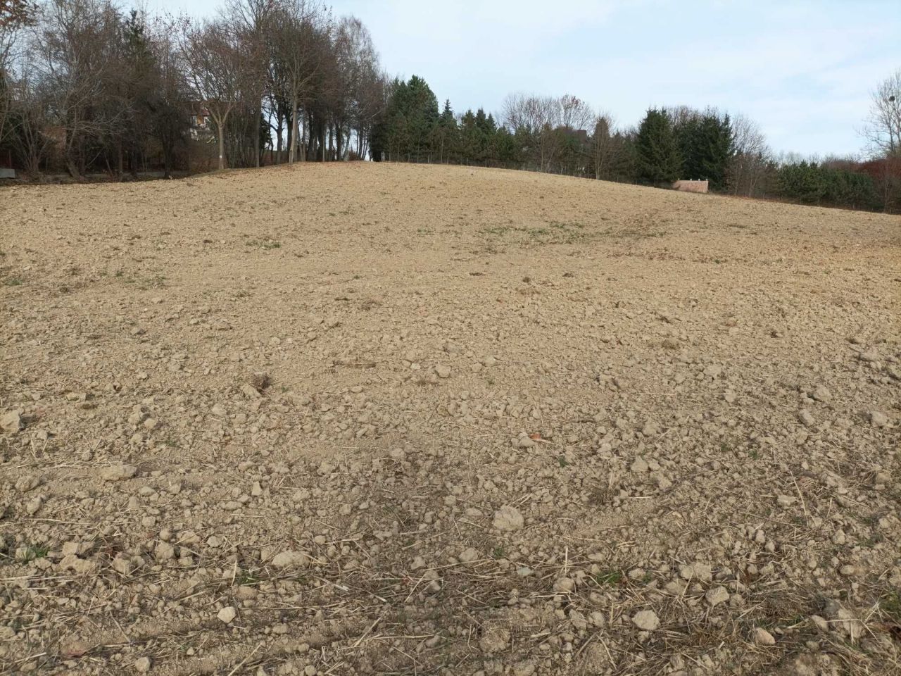 Działka inwestycyjna Strzelce. Zdjęcie 4