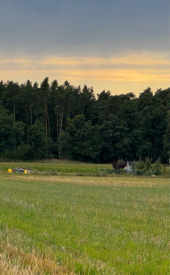 Działka budowlana Brzezina. Zdjęcie 3
