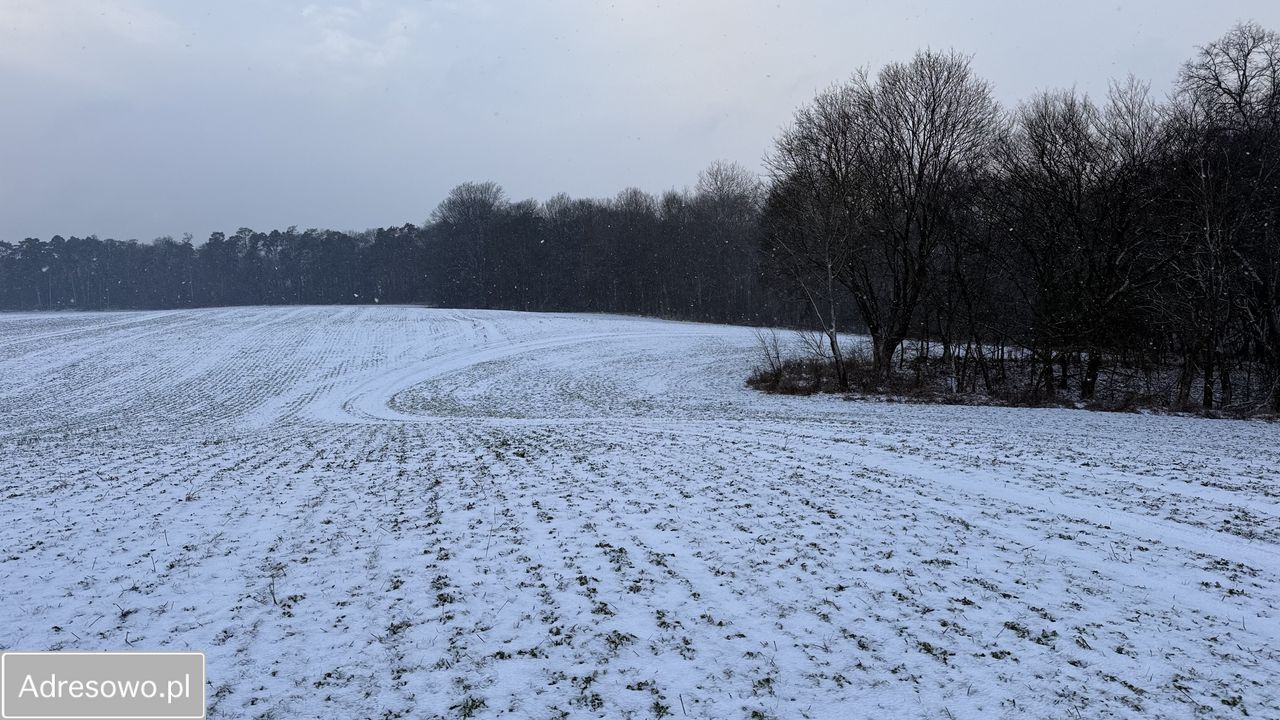 Działka budowlana Ostromecko. Zdjęcie 8