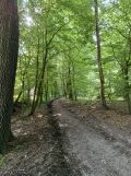 Działka rolno-budowlana Grązów. Zdjęcie 2