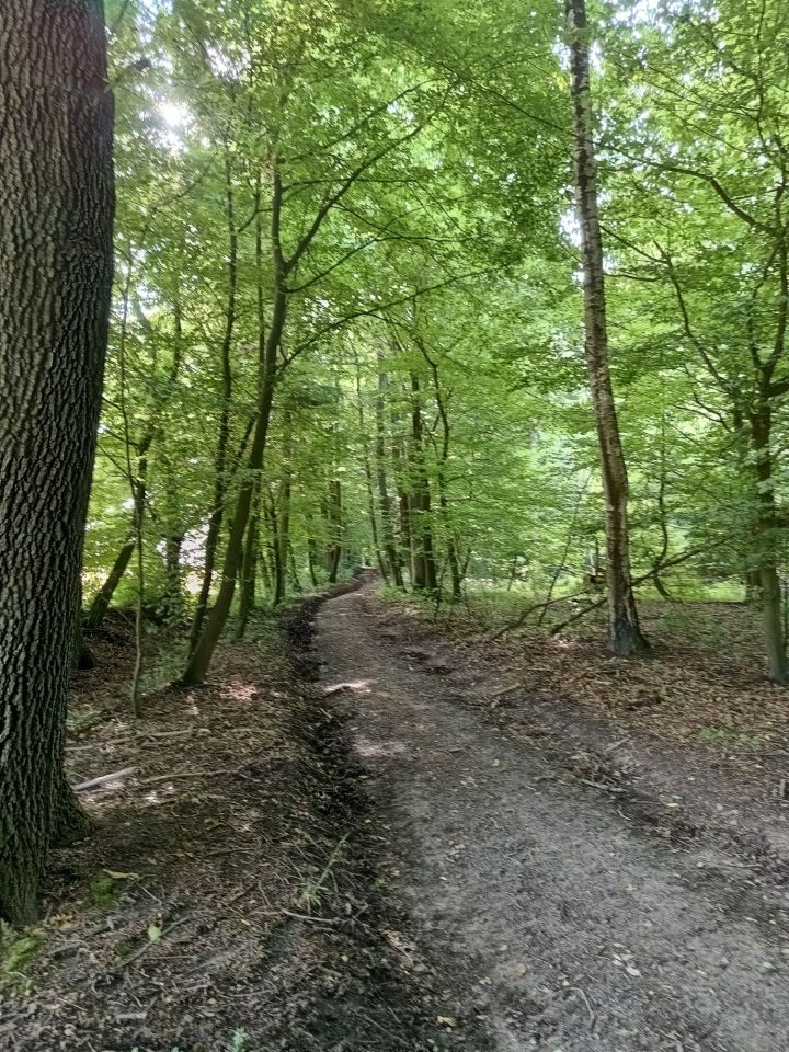 Działka rolno-budowlana Grązów. Zdjęcie 3