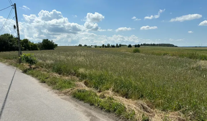 Działka budowlana Konradówka Gołaczów
