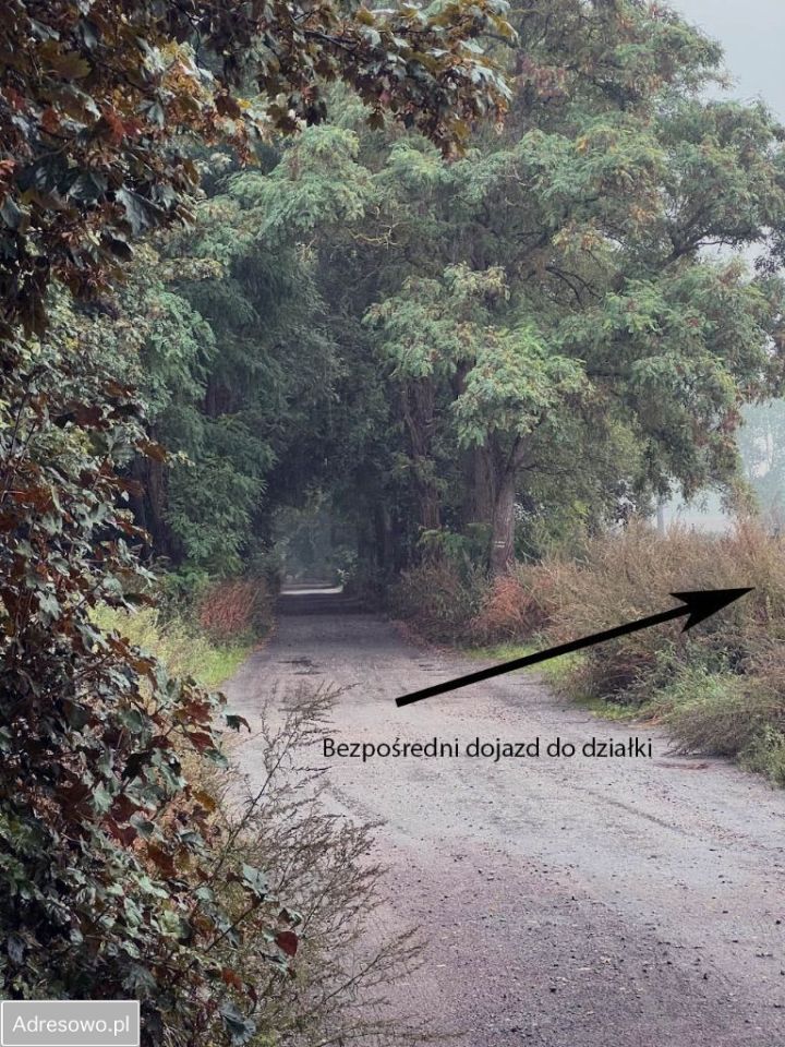 Działka budowlana Buniewice. Zdjęcie 9