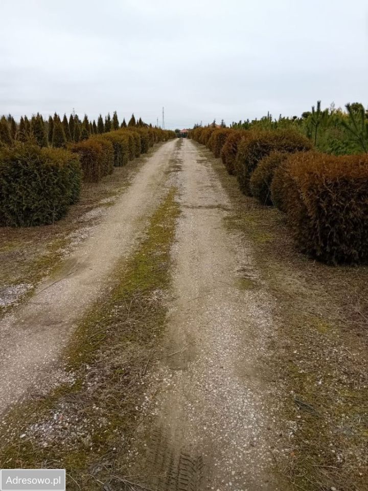 Działka rolna Nowa Wieś Ełcka, ul. Nowowiejska. Zdjęcie 3