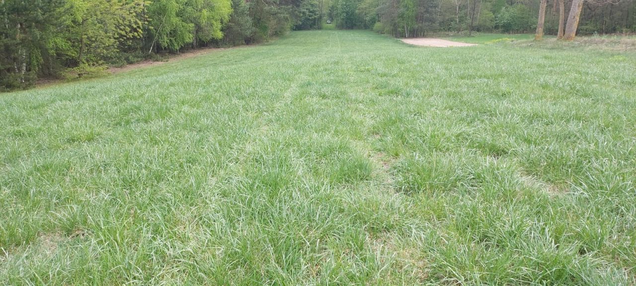 Działka rolna Budy Iłowskie. Zdjęcie 5