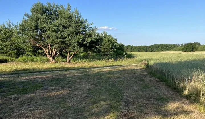 Działka budowlana Brańszczyk, ul. Polna