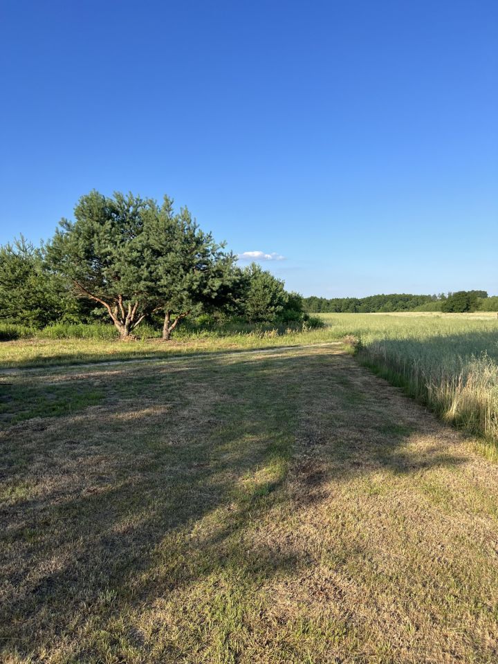 Działka budowlana Brańszczyk, ul. Polna