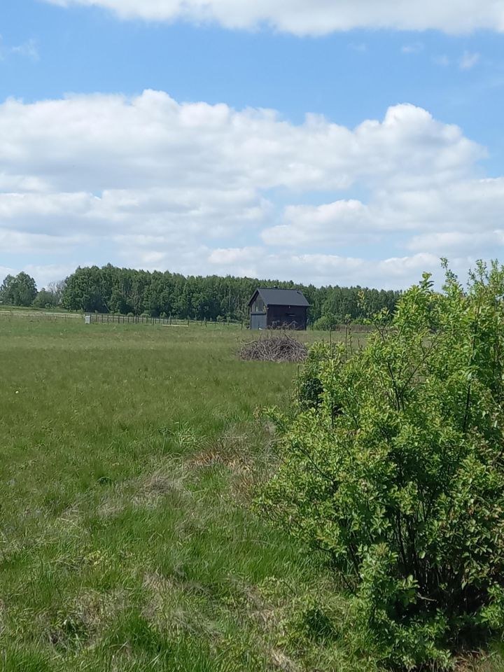 Działka rolno-budowlana Grudza. Zdjęcie 4