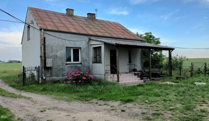 gospodarstwo Michałki