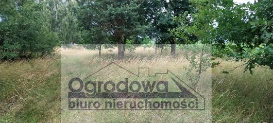 Działka siedliskowa Nowy Kębłów. Zdjęcie 4