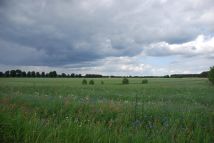 Działka budowlana Żeleźnica. Zdjęcie 3