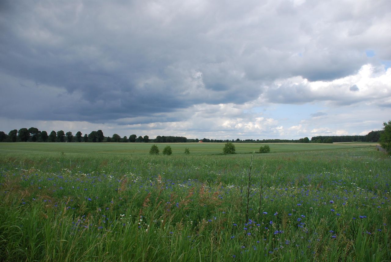 Działka budowlana Żeleźnica. Zdjęcie 4