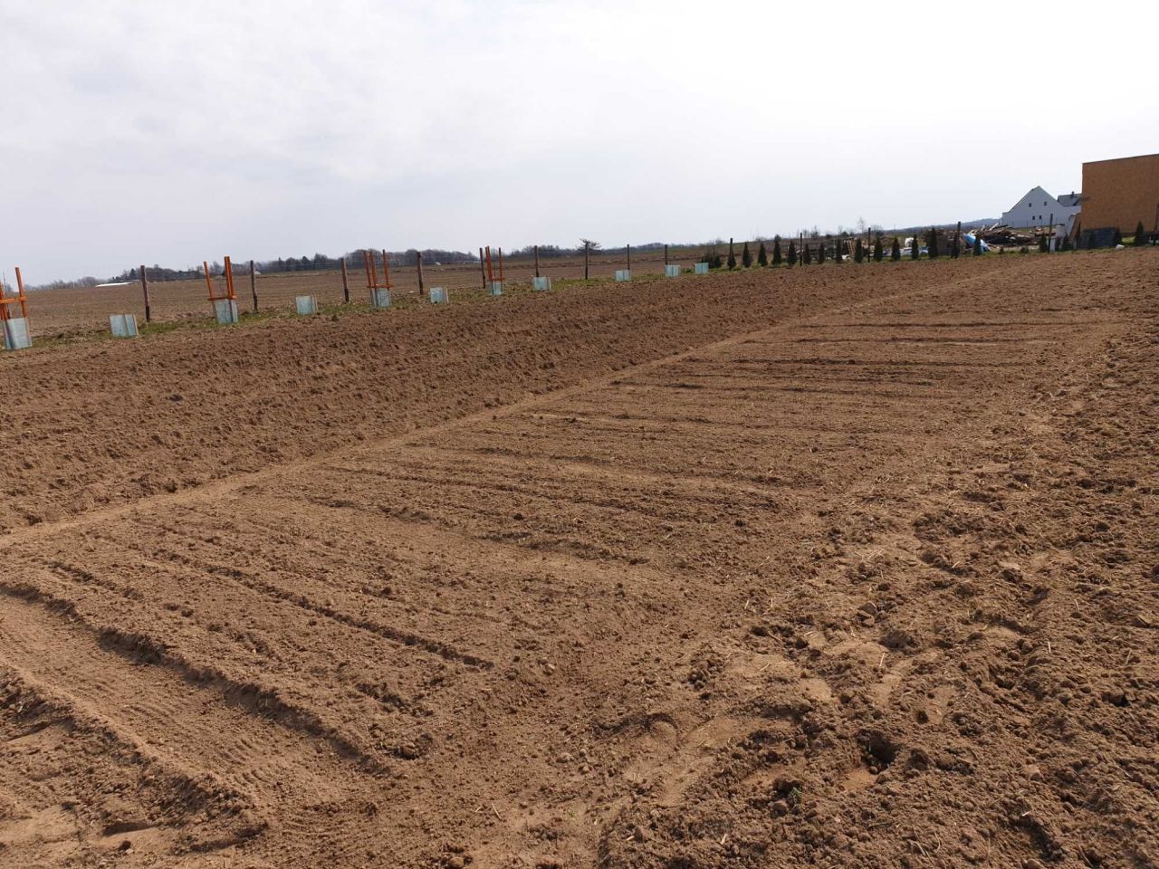 Działka rolno-budowlana Lisewo. Zdjęcie 8